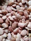 Ngũ cốc mầm cao cấp Plus 6